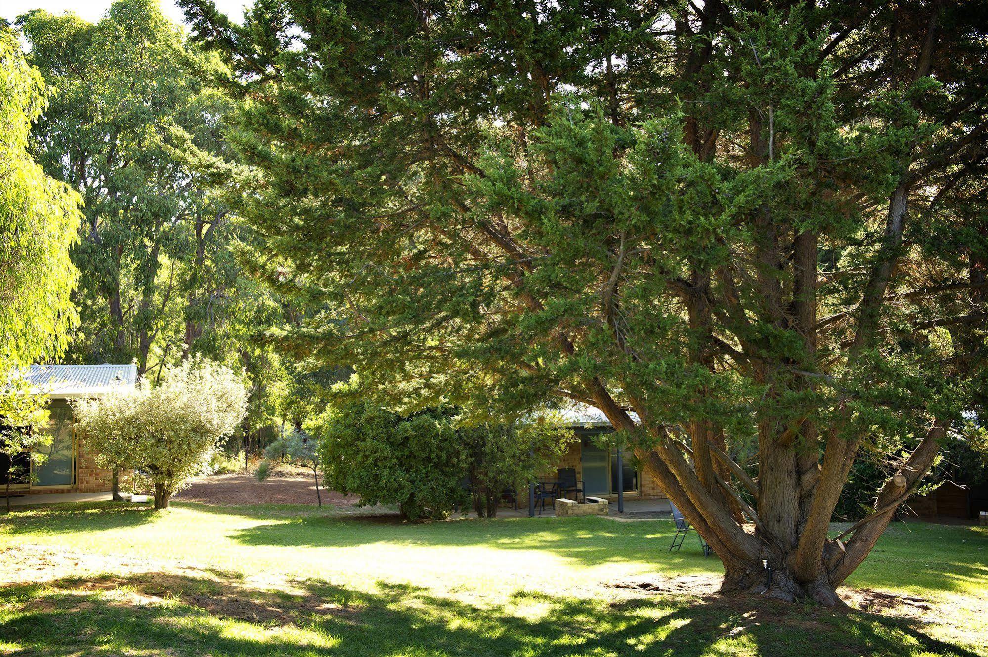 Peppermint Brook Cottages Margaret River Eksteriør billede